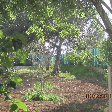 Quinta Da Fonte Em Moncarapacho Hotel Eksteriør billede